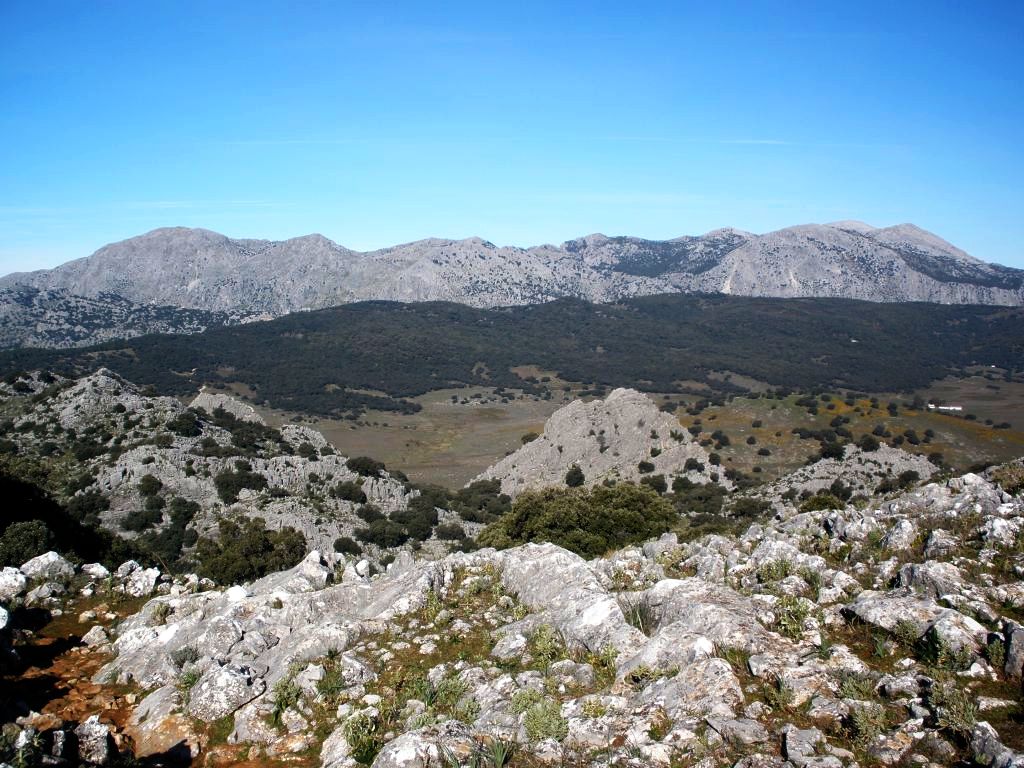 llanosdelrepublicano