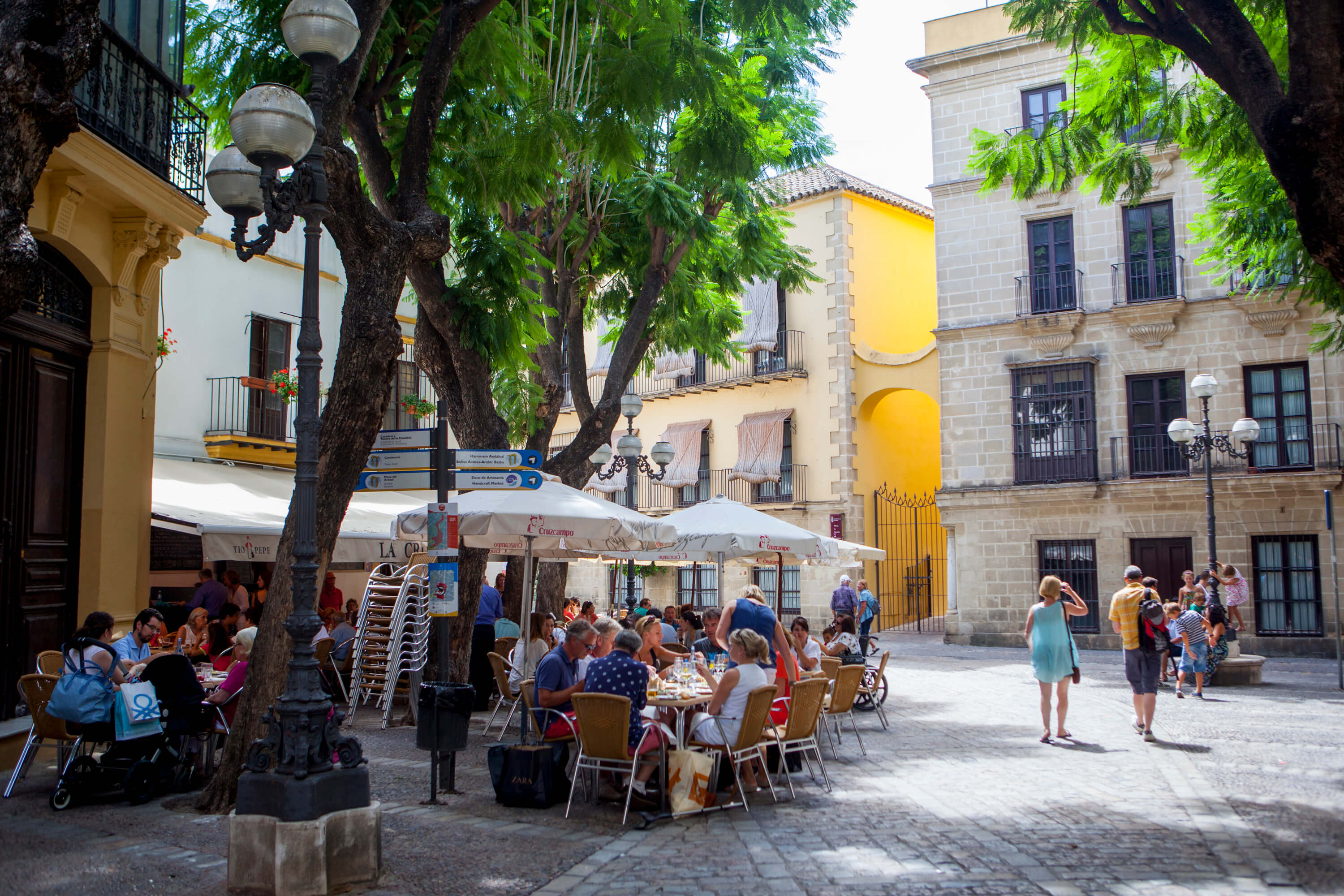 jerez 6