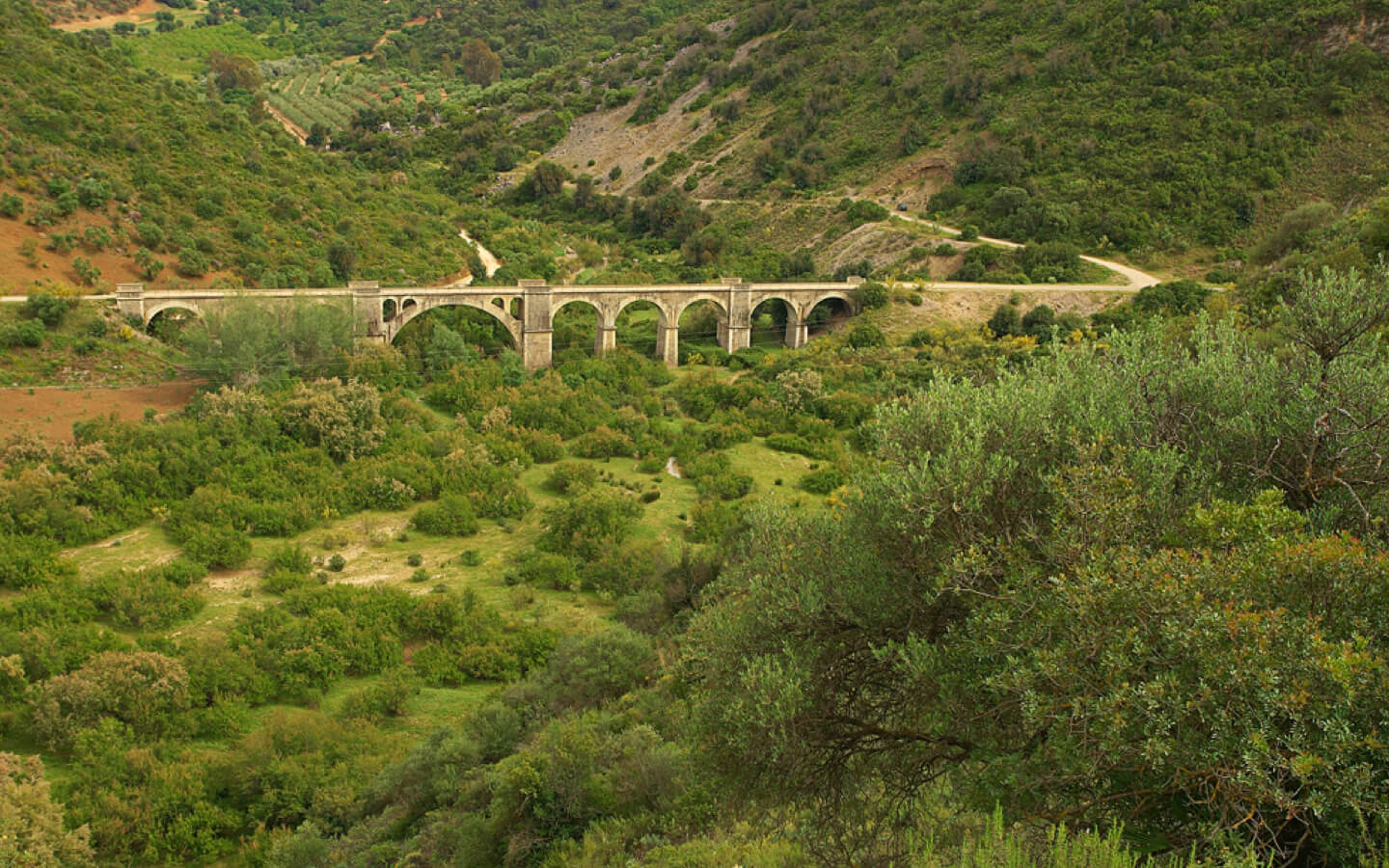 ruta