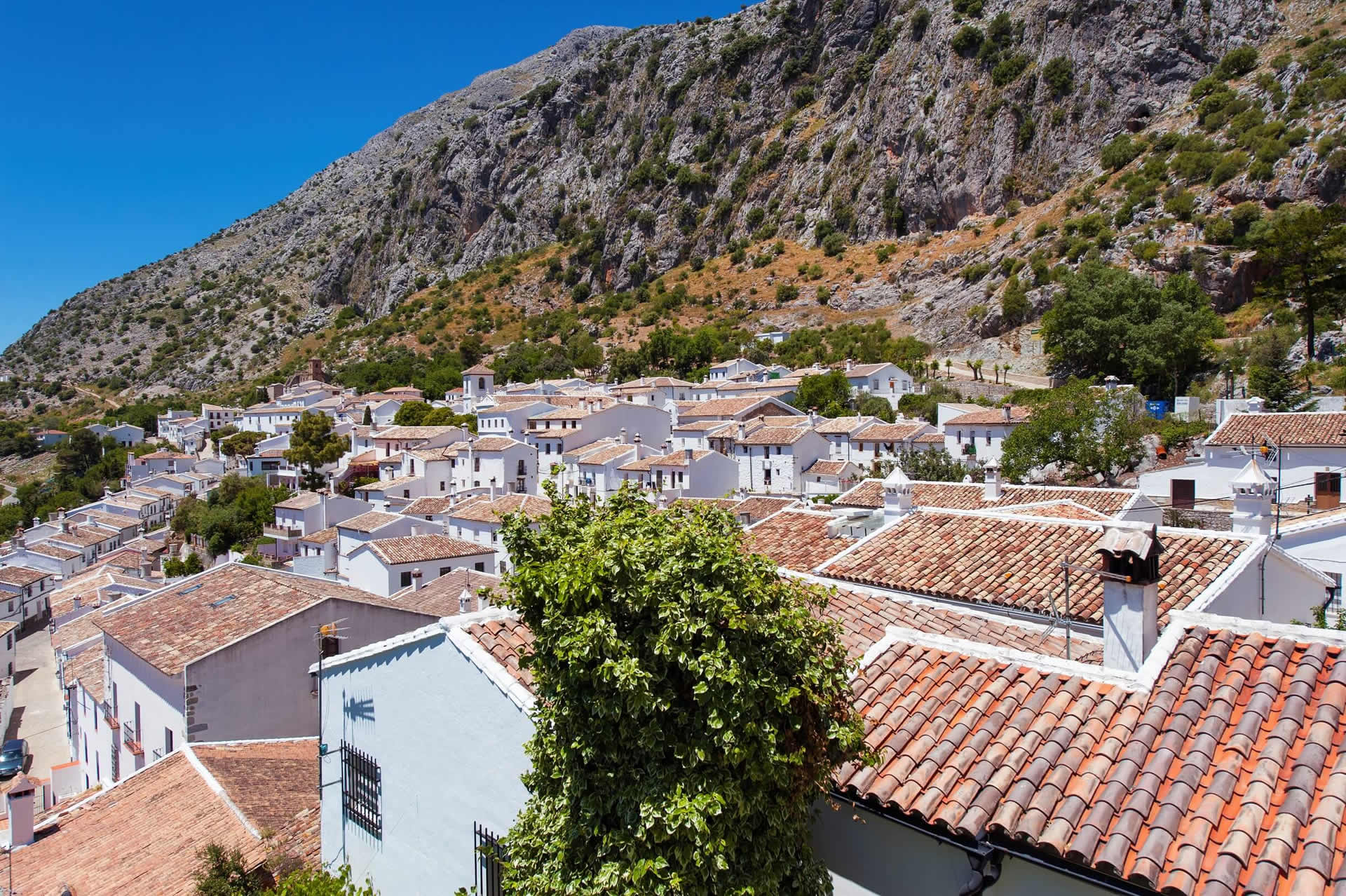 Villaluenga del Rosario 5